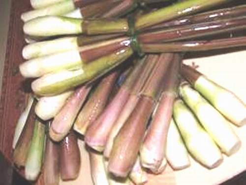 Củ niễng giúp giảm huyết áp, hạ mỡ máu