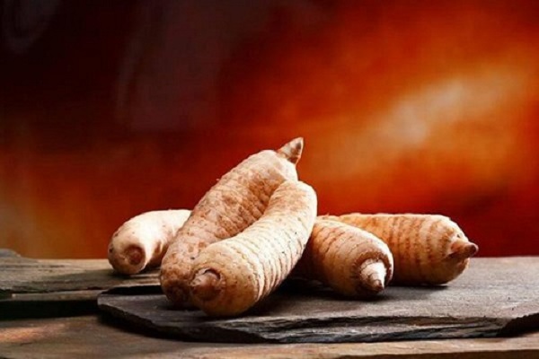 Cách chữa bệnh Parkinson bằng Đông y