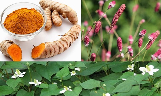 Bài thuốc chữa bệnh trĩ 7 vị tưởng đã thất truyền trong dân gian