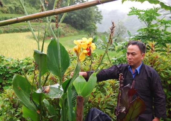 Lương y Sùng A Tú: Vị “ cứu tinh” của nhiều người dân miền sơn cước